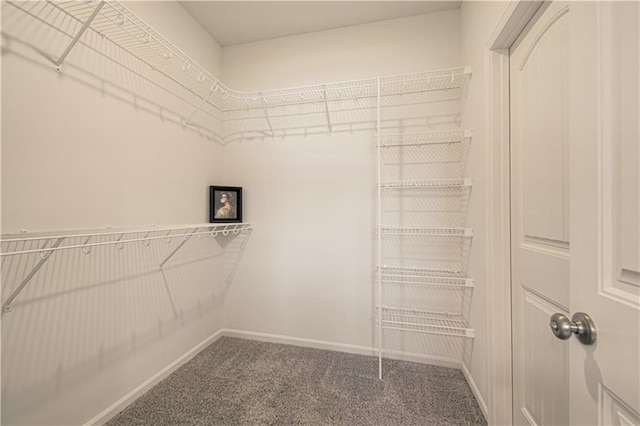 1102 Noah Ln, Kearney, MO 64060 - walk in closet featuring carpet floors