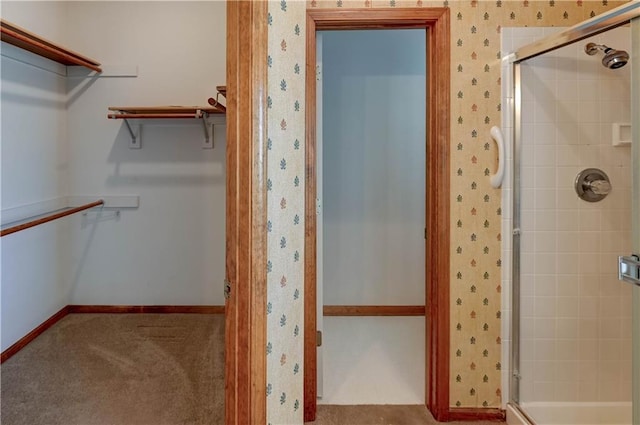 bathroom featuring a shower with shower door