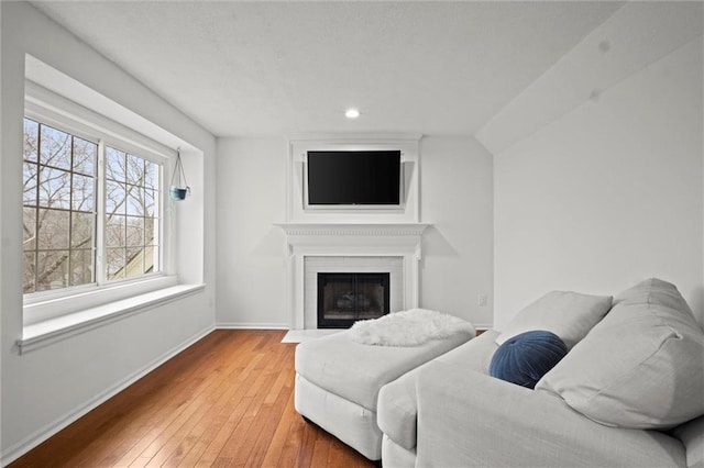 living room featuring hardwood / wood-style flooring and a fireplace