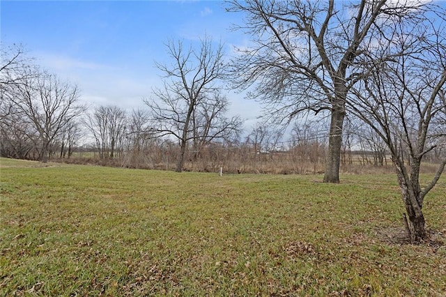 view of yard featuring a rural view