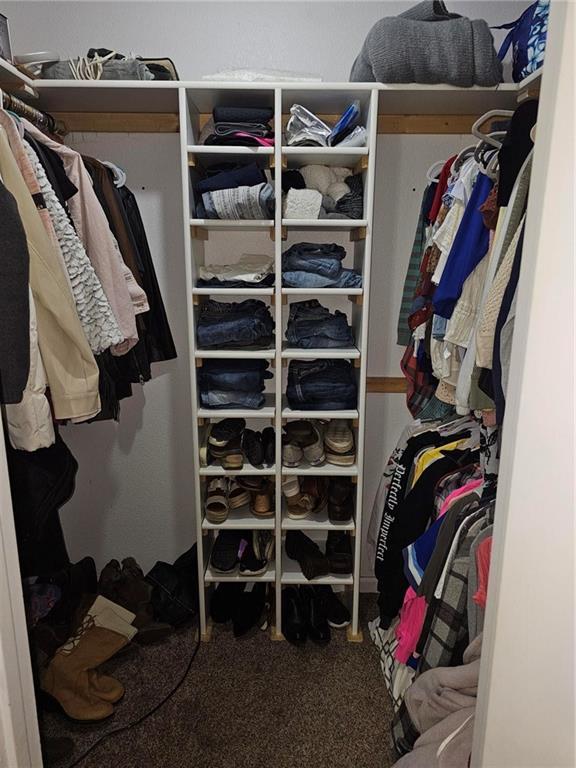 walk in closet with carpet flooring