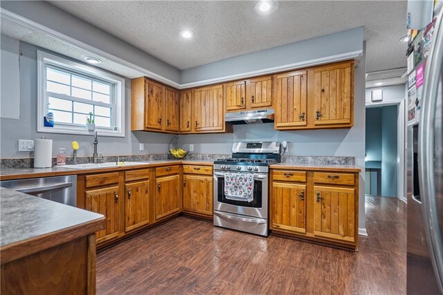 kitchen featuring appliances with stainless steel finishes, sink, a textured ceiling, and dark hardwood / wood-style floors