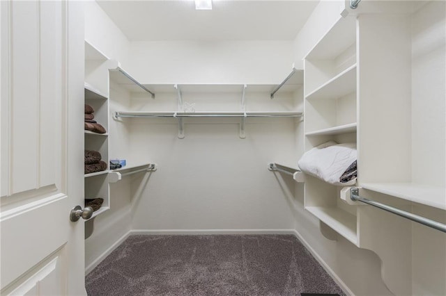 spacious closet with carpet floors