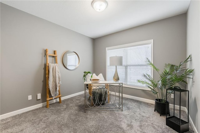 office with carpet and baseboards