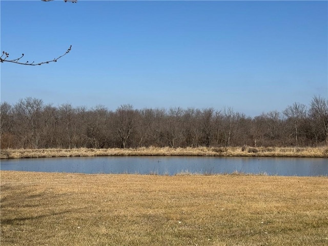 view of water feature