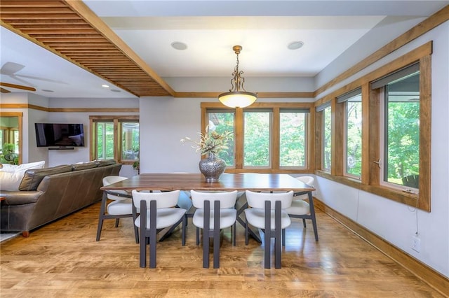 18402 W 64th St, Shawnee, KS 66218 - dining space featuring plenty of natural light, light wood-style flooring, baseboards, and ceiling fan