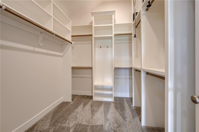 walk in closet featuring carpet