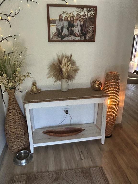 room details with wood finished floors