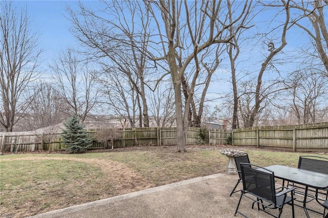 view of yard featuring a patio