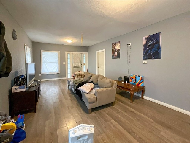 living room with hardwood / wood-style flooring