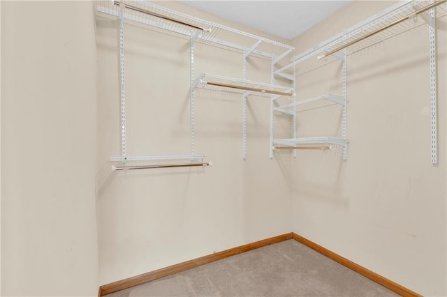 walk in closet featuring carpet