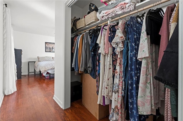 walk in closet with wood finished floors