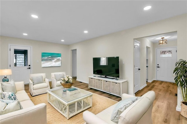 living room with wood-type flooring