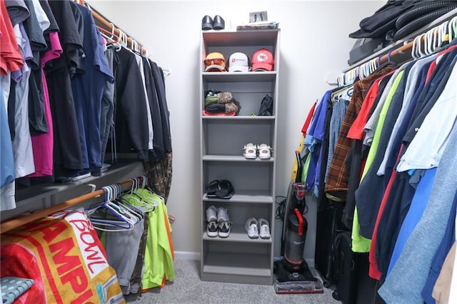 walk in closet with carpet floors