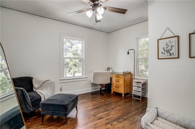 home office featuring ceiling fan and dark hardwood / wood-style flooring