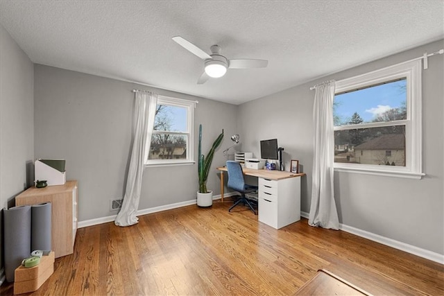 home office featuring ceiling fan, a textured ceiling, and light wood-type flooring