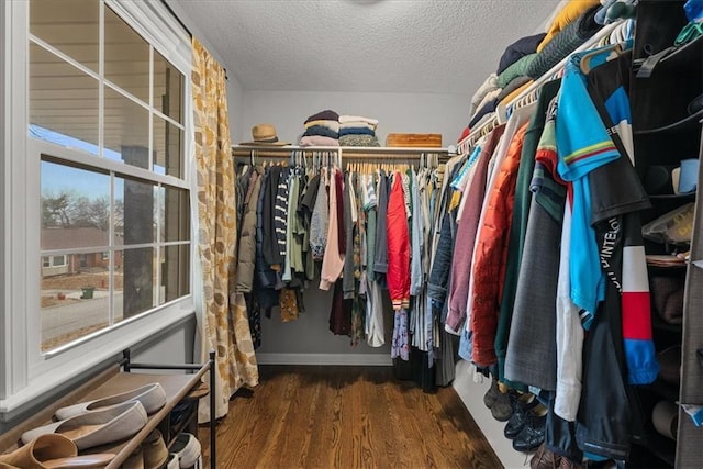 spacious closet with dark hardwood / wood-style floors