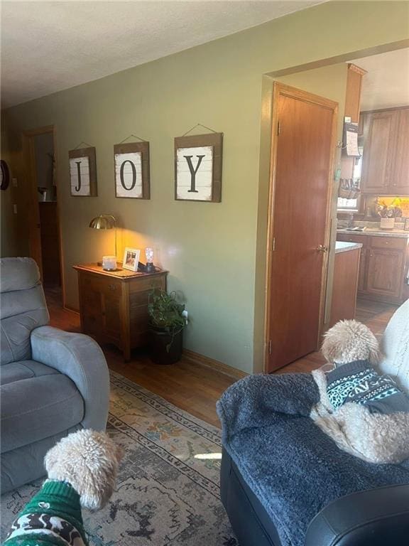 living room with hardwood / wood-style floors