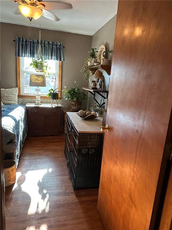 bedroom featuring dark hardwood / wood-style floors and ceiling fan