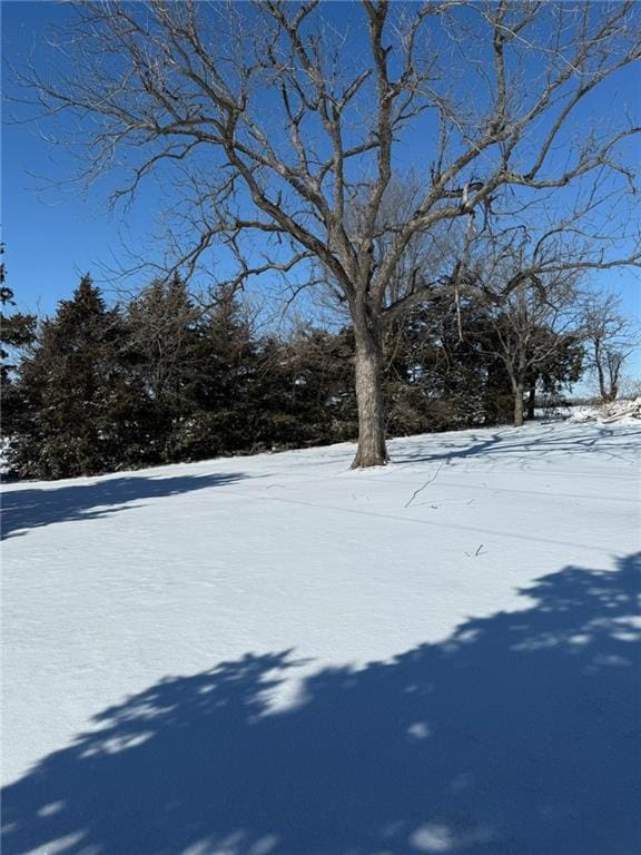 view of snowy yard