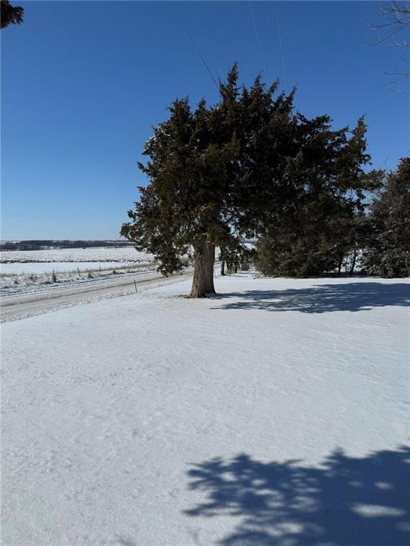 view of snowy yard