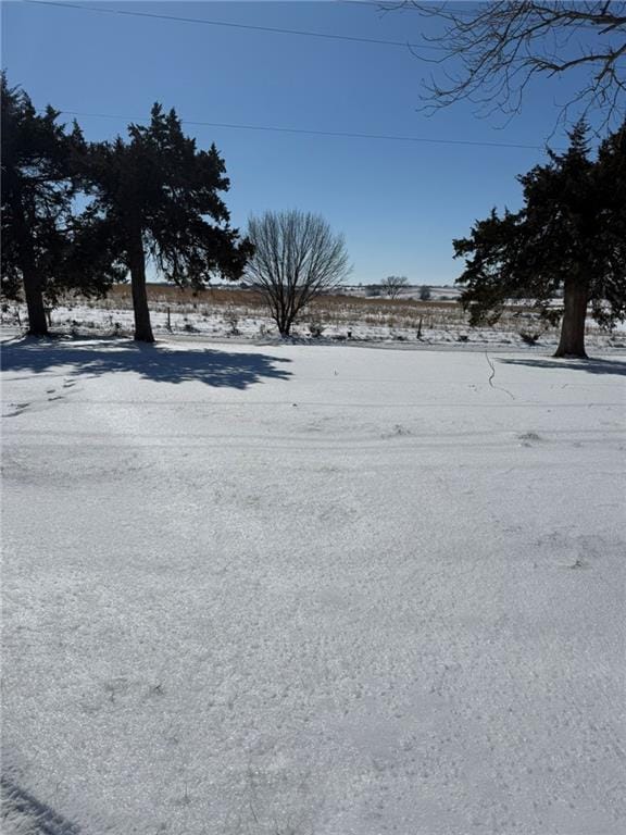 view of yard covered in snow
