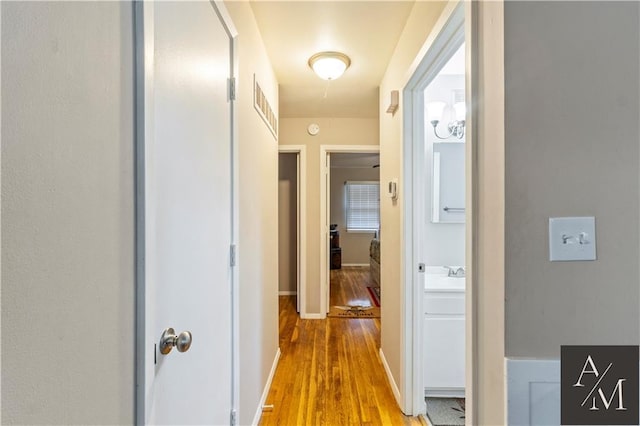 hall with sink and hardwood / wood-style floors