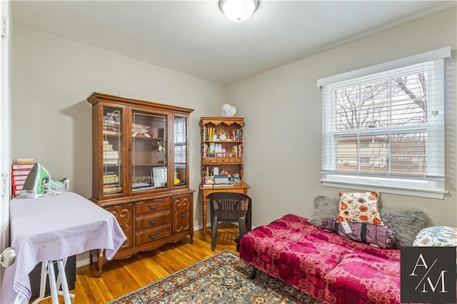 bedroom with wood-type flooring