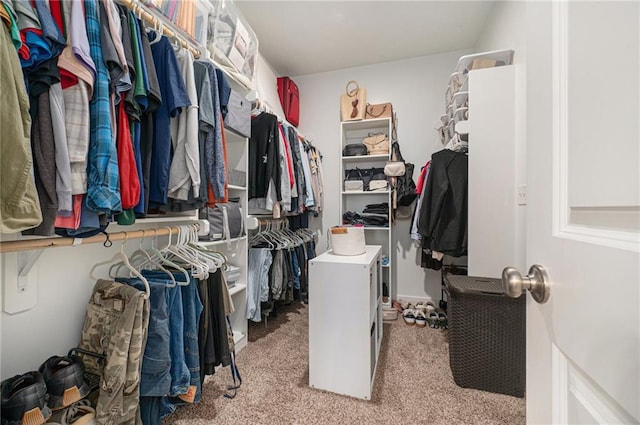 spacious closet with light colored carpet