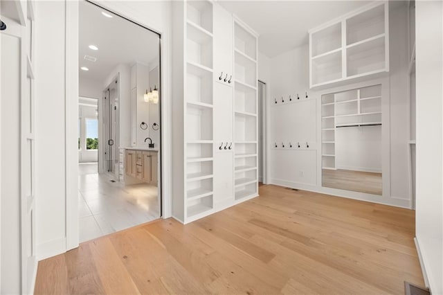 17021 Parkhill St, Overland Park, KS 66221 - walk in closet featuring light wood finished floors and a sink