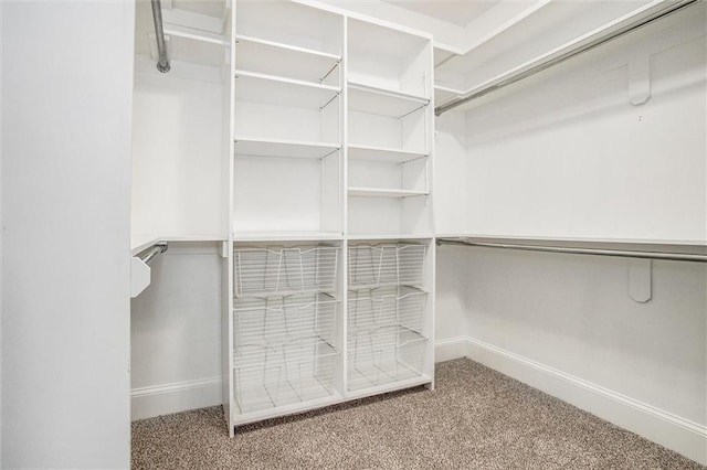 4300 SE Willow Ridge Dr, Blue Springs, MO 64014 - walk in closet with carpet floors