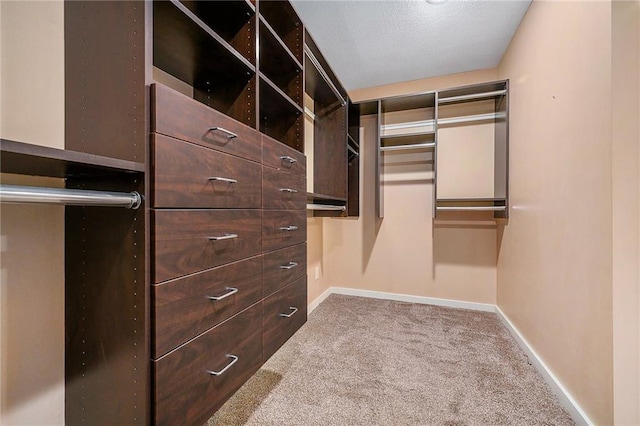 walk in closet featuring light carpet