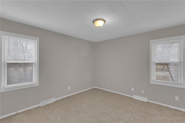 empty room featuring light colored carpet and a textured ceiling