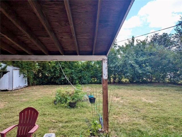 view of yard with a storage unit and an outbuilding