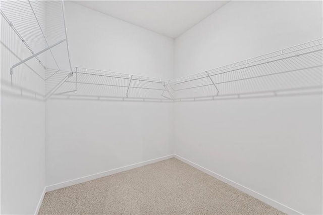 spacious closet with carpet flooring