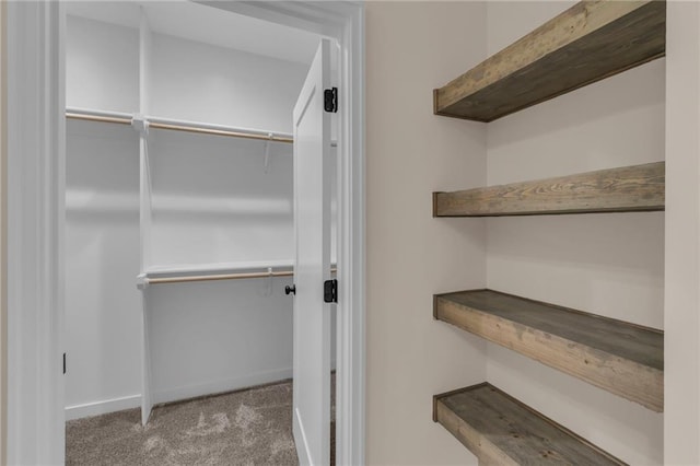 spacious closet with carpet flooring