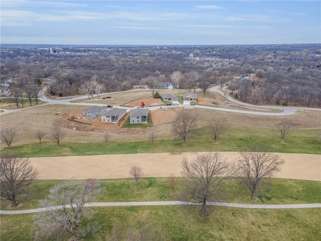 1112 Old Time Dr, Excelsior Springs, MO 64024 - birds eye view of property