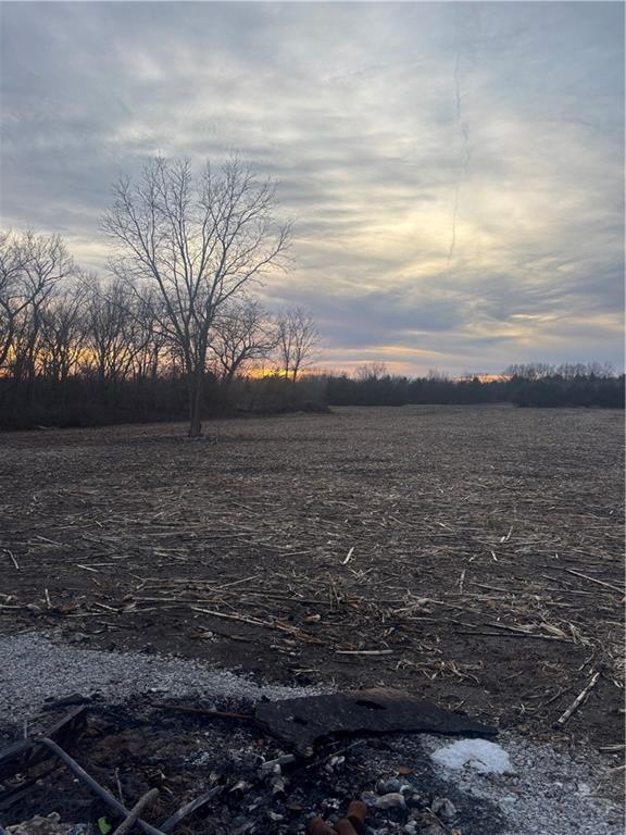 1202 NW County Road 6001, Butler, MO 64730 - view of yard