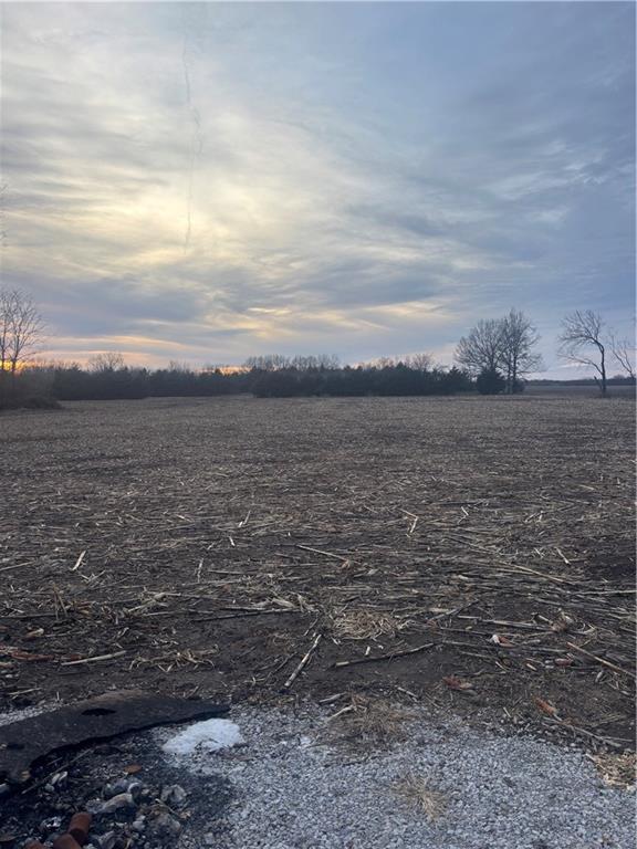 1202 NW County Road 6001, Butler, MO 64730 - view of yard at dusk