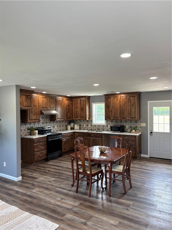 1202 NW County Road 6001, Butler, MO 64730 - kitchen featuring black appliances, baseboards, under cabinet range hood, plenty of natural light, and recessed lighting