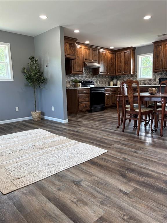 1202 NW County Road 6001, Butler, MO 64730 - kitchen featuring stove, decorative backsplash, dark wood finished floors, recessed lighting, and baseboards