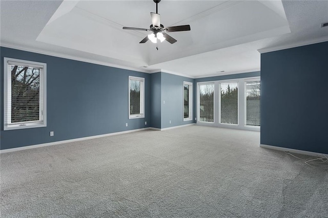 spare room featuring carpet floors, a tray ceiling, and crown molding