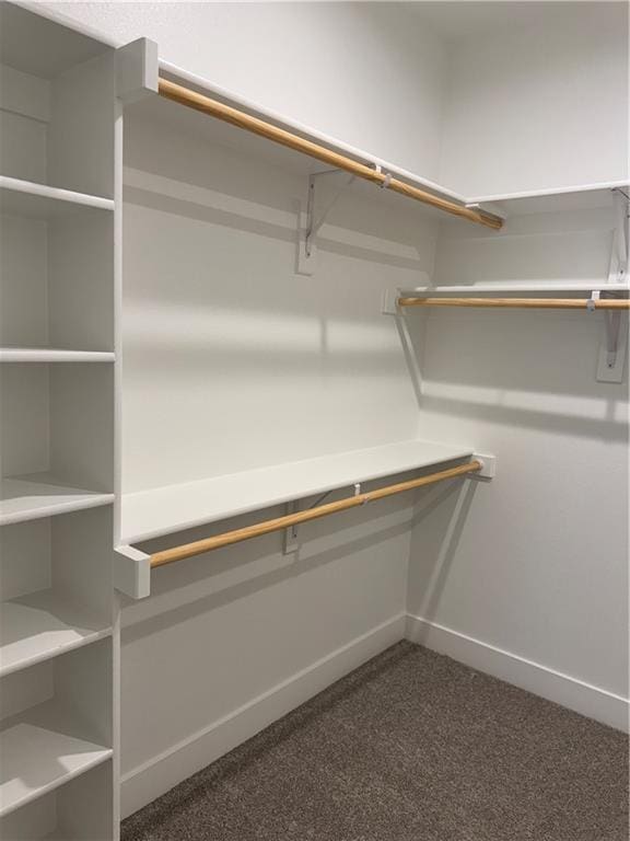 spacious closet with carpet floors