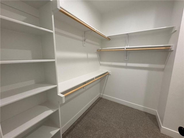 spacious closet with carpet floors