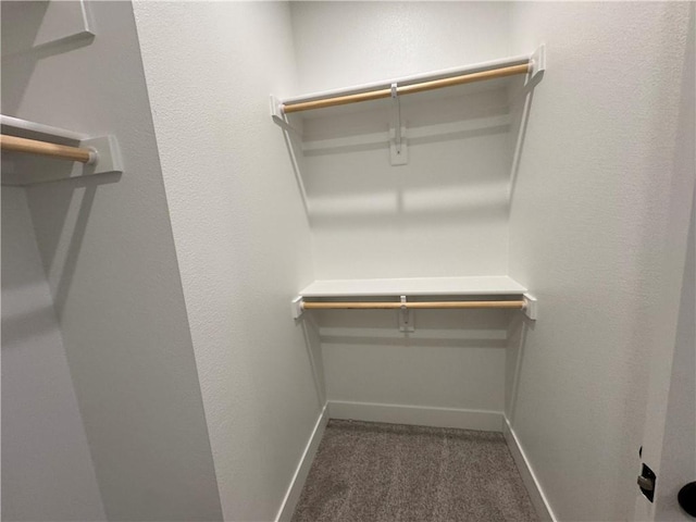 spacious closet with carpet