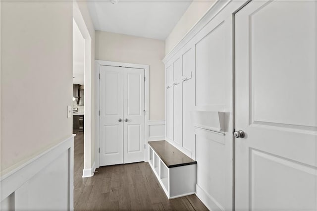 mudroom featuring dark wood-type flooring