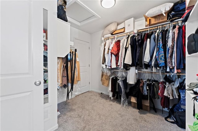 spacious closet featuring carpet floors