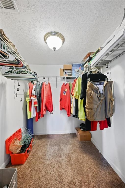 spacious closet with carpet flooring