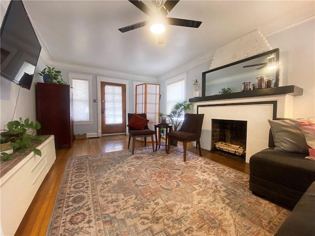 living room featuring ceiling fan, ornamental molding, and dark hardwood / wood-style flooring