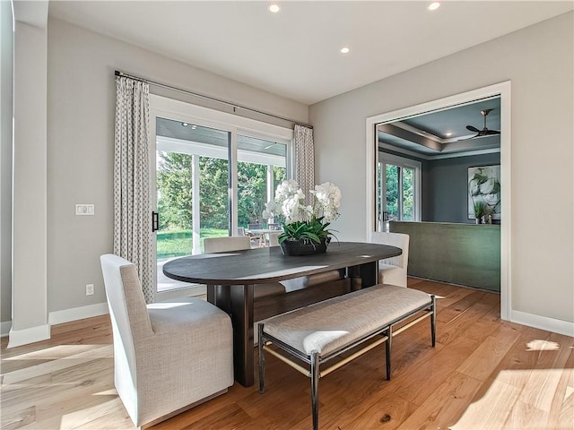 dining room with a tray ceiling, light hardwood / wood-style flooring, and a healthy amount of sunlight